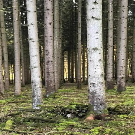 Beautiful And Authentic * Houffalize