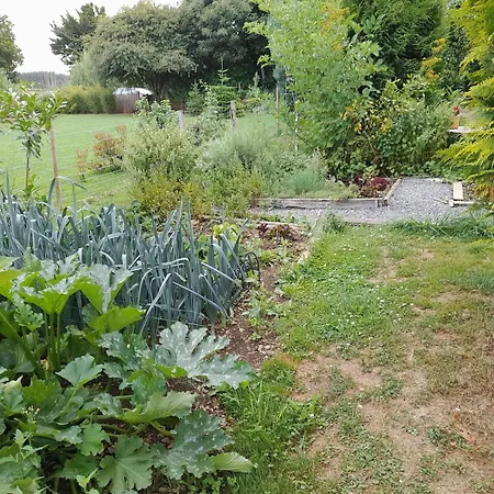 Beautiful And Authentic Casa de Férias *