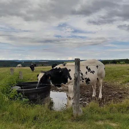 Beautiful And Authentic בית נופש *